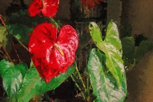Großes rotes herzförmiges Anthurium von Mano Chandra Dhas
