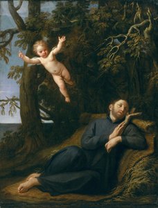 St. Franziskus in der Wüste von Marcantonio Franceschini
