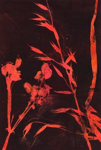 Rote Blätter, 2024 von Marco Campedelli