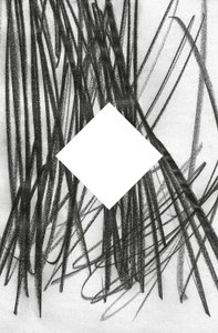 Ohne Titel, 2014 von Marco Campedelli