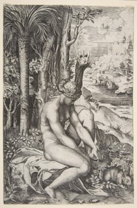 Venus entfernt einen Dorn aus ihrem linken Fuß, während sie auf einem Tuch neben Bäumen sitzt, ca. 1515-27