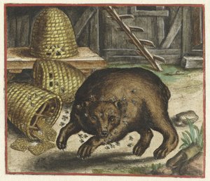 Fabel vom Bären und den Bienen