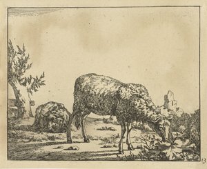 Weidendes Schaf und liegendes Schaf am Zaun von Marcus de Bye