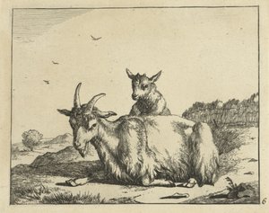 Liegende Ziege mit Lamm von Marcus de Bye