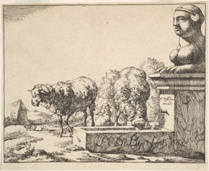 Schafe, aus einer Serie von 16 Platten, 1664 von Marcus de Bye