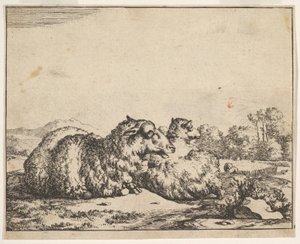 Schafe, aus einem Satz von 16 Platten, 1664 von Marcus de Bye