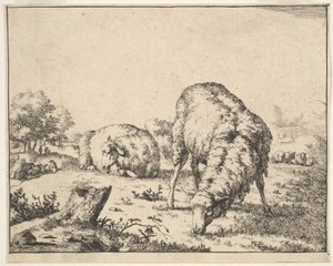 Schafe, aus einem Satz von 16 Platten, 1664 von Marcus de Bye