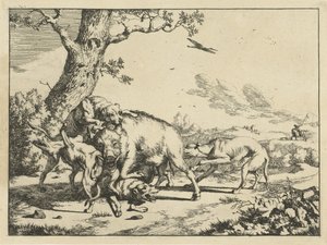 Schwein von vier Jagdhunden angegriffen von Marcus de Bye