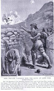 Wie Private Vaughan das DCM in Lone Pine Dardanellen August 1915 gewann von Margaret Dovaston