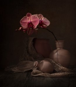Dunkles Orchideen-Stillleben von Margareth Perfoncio