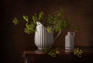 Dillblüten Stillleben von Margareth Perfoncio