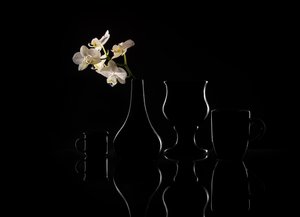Elegante Orchideen-Silhouetten von Margareth Perfoncio