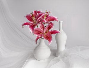 Rosa Lilien Weiße Vasen