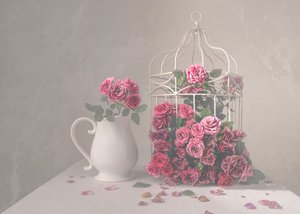 Rosen und Vogelkäfig