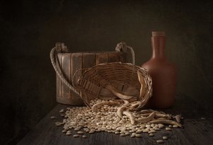 Rustikale Bohnen-Ernte