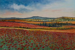Mohnfelder..Flandern von Margo Starkey