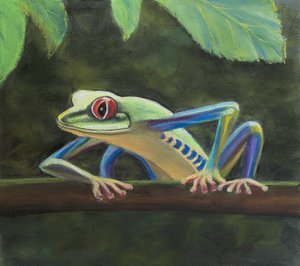 Baumfrosch. von Margo Starkey