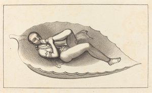 Vishnu, Schöpfer von Brahma, Symbol der Ewigkeit von Maria Denman after John Flaxman