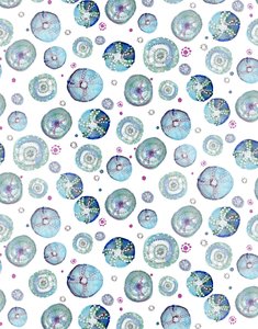 Seeigel Blau