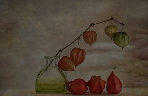 Stille Herbstlaternen von Marie-anne Stas