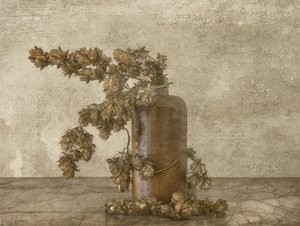 Rustikales Hopfen-Stillleben von Marie-anne Stas