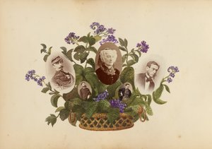 Das Madame B Album, 1870er Jahre
