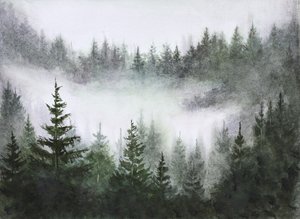 Stille im nebligen Wald