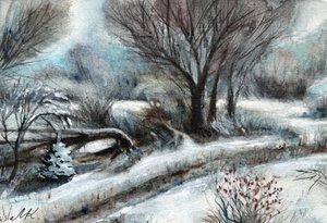 Verschneiter Winterweg