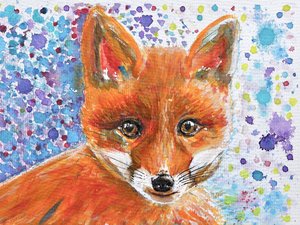 Verspieltes Fuchsjunges