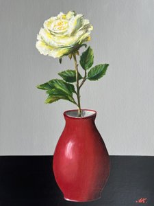 Weiße Rose in roter Vase