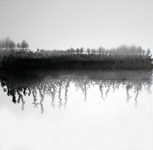 Monochrome Waldreflexion von Marina Nelson