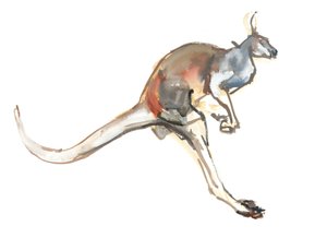 Boing, (Roter Känguru) von Mark Adlington