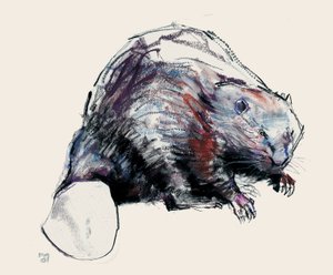 Castor Fiber, 2001 von Mark Adlington