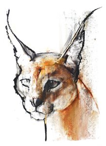 Feline (Arabischer Karakal), 2009 von Mark Adlington