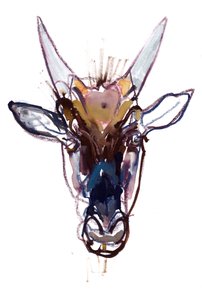 Kleiner Teufel (Gnu)