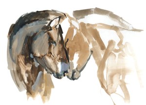 Nase an Nase (Przewalski), 2013 von Mark Adlington