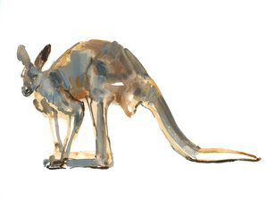 Mit Ocker bestäubt, (Roter Känguru), 2012 von Mark Adlington