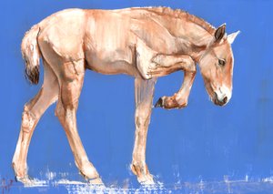 Przewalski-Fohlen, 2012