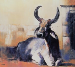 Heilige Kuh, Bhuj, 1996