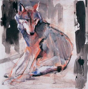 Sitzender Wolf, 2000 von Mark Adlington