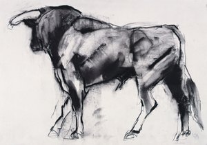 Toro Azul, Studie von Mark Adlington