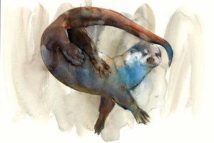 Unbekannter Titel von Mark Adlington