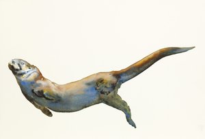 Samt, 2014 (Aquarell auf Papier)