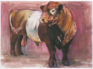 Zeus, Red Belted Galloway Bull, 2006 von Mark Adlington