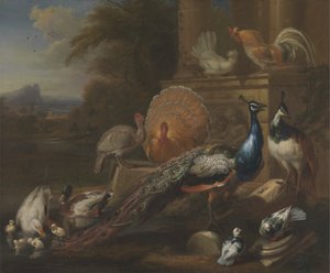 Pfauen, Tauben, Truthähne, Hühner und Enten bei einer klassischen Ruine