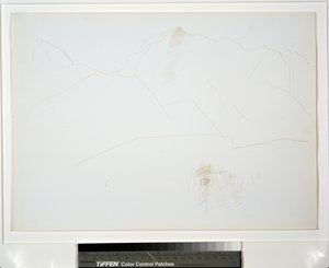 Berglandschaft mit Baumgruppe