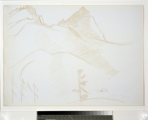 Berglandschaft mit Kiefern