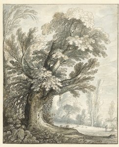 Landschaft mit hohem Baum