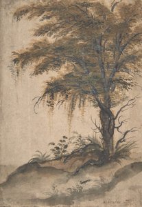 Studie eines Baumes, Mitte des 16. bis Anfang des 17. Jahrhunderts von Marten van Valckenborch