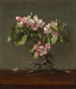 Apfelblüten, 1873